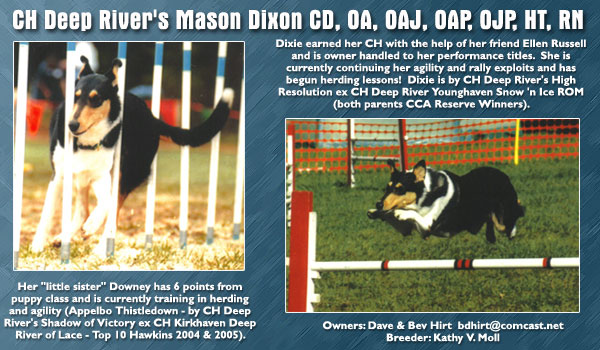 CH Deep River's Mason Dixon CD, OA, OAJ, OAP, OJP, HT, RN