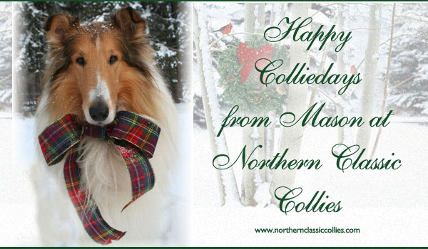 Northern Classic Collies