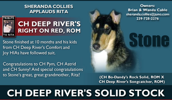 Sheranda -- CH Deep River's Solid Stock