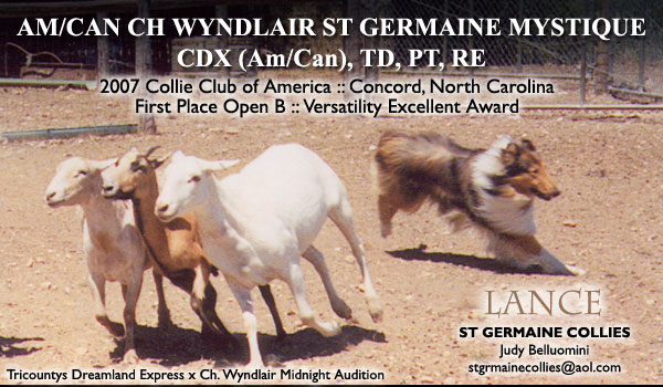 St Germaine -- CH Wyndlair St Germaine Mystique, CDX (Am/Can), TD, PT, RE