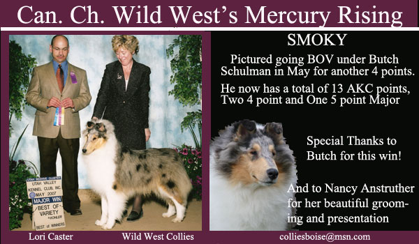 Wild West -- CAN CH Wild West's Mercury Rising