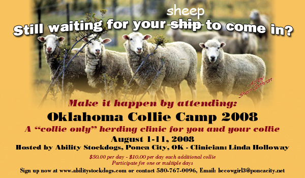 Ability Stockdogs -- Oklahoma Collie Club 2008