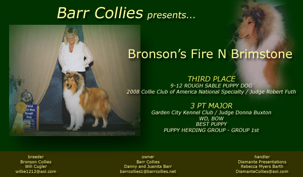 Barr -- Bronson's Fire N Brimstone