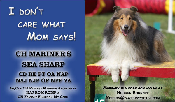 Noreen Bennett -- Ch Mariner's Sea Sharp  CD RE PT OA NAP NAJ NJP OF NPF VA