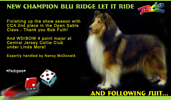 Blu Ridge -- Blu Ridge Let It Ride