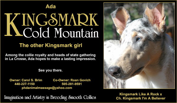 Carol Brim -- Kingsmark Cold Mountain