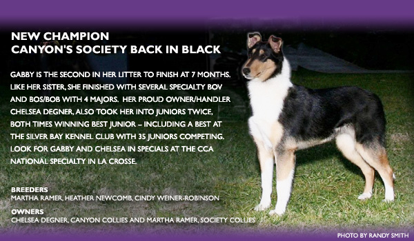 Canyon / Society -- CH Canyon's Society Back In Black