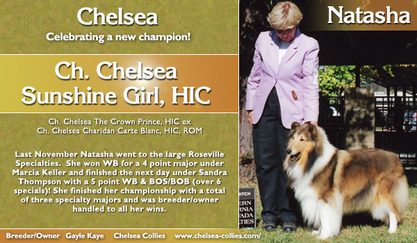 Chelsea -- CH Chelsea Sunshine Girl, HIC
