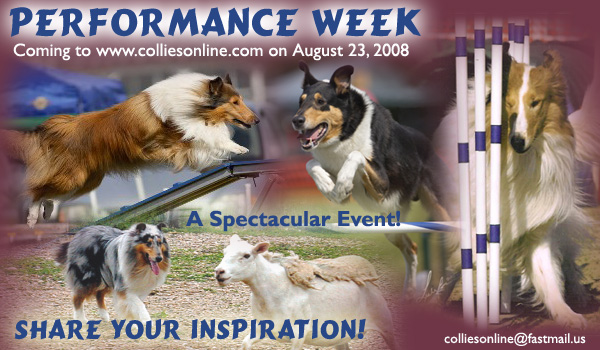 2008 Performance Week on Collies Online
