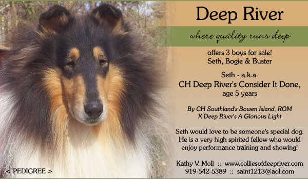 Deep River -- CH Deep River's Consider It Done