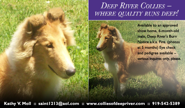 Deep River -- Deep River's Burn Notice
