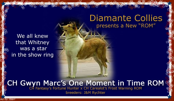 Diamante -- CH Gwyn Marc's One Moment in Time, ROM