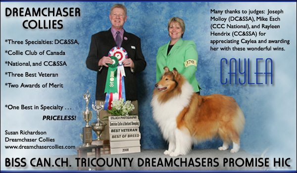 Dreamchaser -- Can. CH Tricounty Dreamchasers Promise HIC