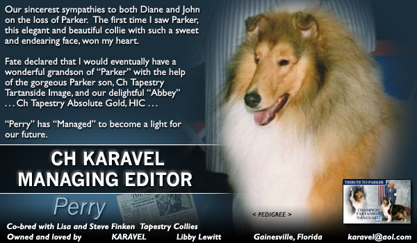 Karavel -- CH Karavel Managing Editor