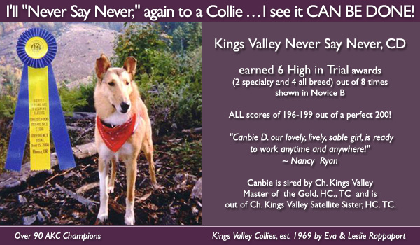 Kings Valley Never Say Never, CD