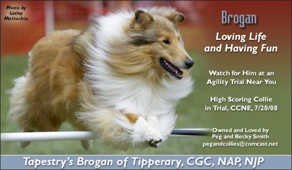 Peg and Becky Smith -- Tapestry's Brogan Of Tipperary, CGC, NAP, NJP