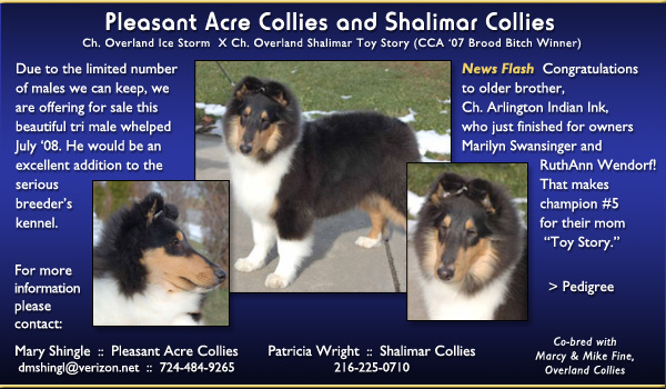 Pleasant Acre Collies and Shalimar Collies 