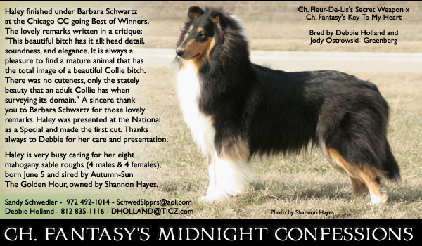 Sassy/Fantasy -- CH Fantasy's Midnight Confessions