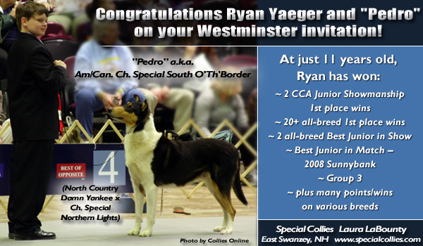 Special Collies Congratulates Ryan Yaeger and Pedro