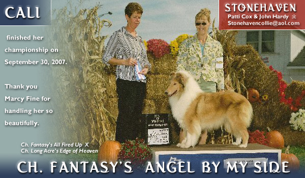 Stonehaven -- CH Fantasy's Angel By My Side