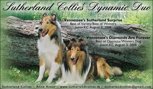 Sutherland Collies -- Vennessee's Sutheland Surprise and Vennesse's Diamonds Are Forever