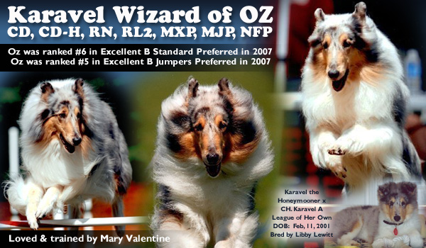 Karavel Wizard of OZ  CD, CD-H, RN, RL2, MXP, MJP, NFP