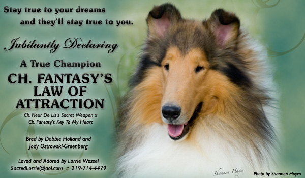 Lorrie Wessel -- CH Fantasy's Law Of Attraction