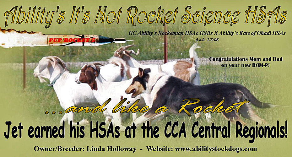 Ability Stockdogs -- Ability's It's Not Rocket Science HSAs