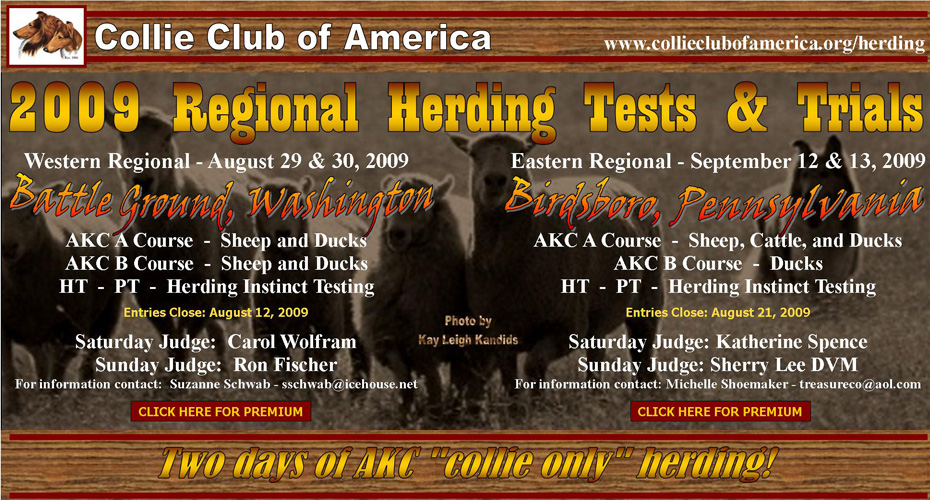 CCA -- 2009 Regional Herding Tests and Trials 