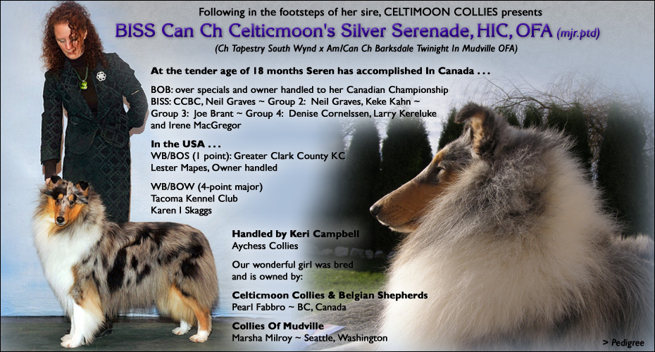 Celticmoon Collies and Collies Of Mudville -- CAN CH Celticmoon's Silver Serenade, HIC, OFA