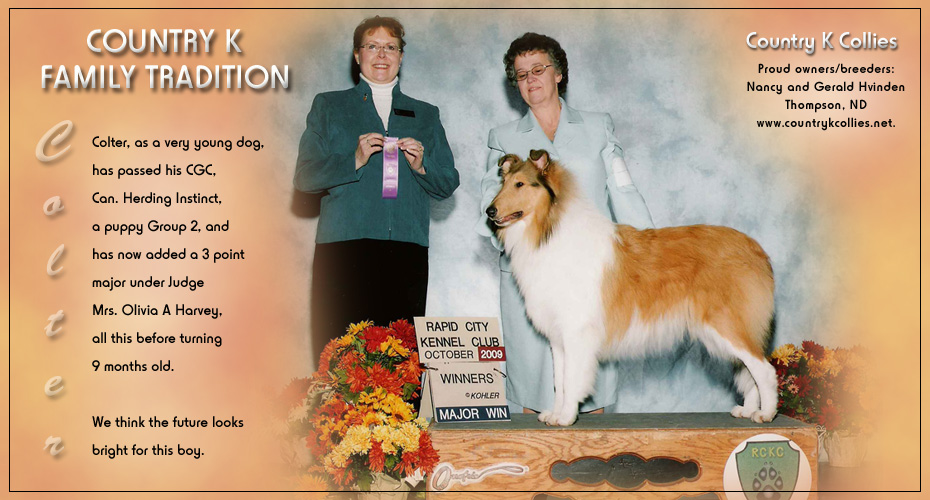 Country K Collies -- Country K Family Tradition