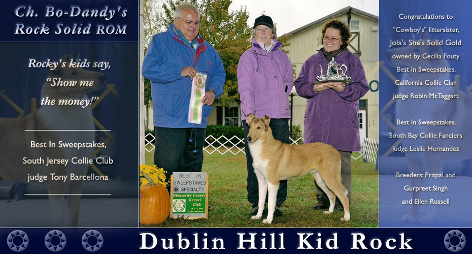 Dublin Hill Collies -- Tribute to CH. Bo-Dandy's Rock Solid ROM -- Dublin Hill Kid Rock
