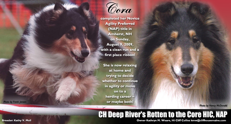 Hi Cliff Collies -- CH Deep River's Rotten To The Core HIC, NAP