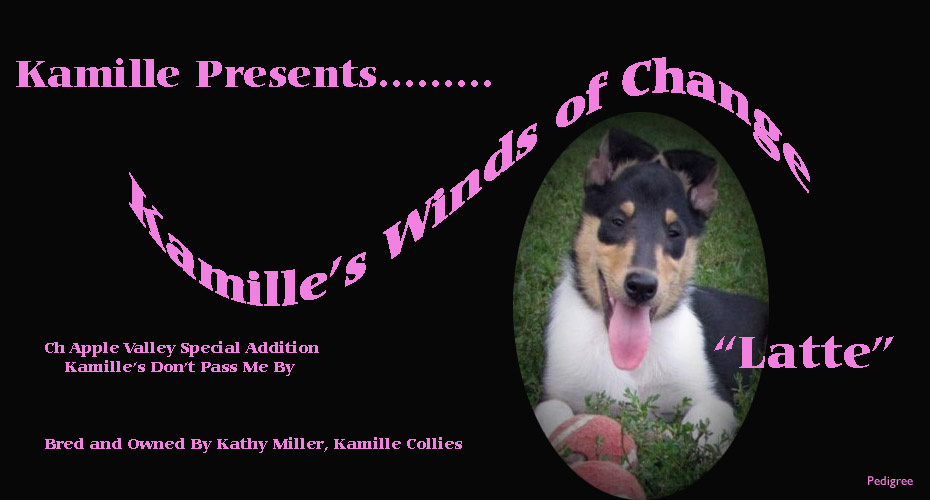 Kamille Collies -- Kamille's Winds Of Change