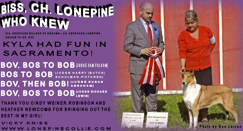 Lonepine Collies -- CH Lonepine Who Knew