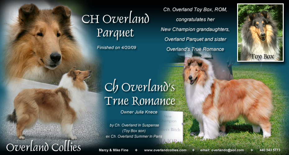 Overland Collies -- CH Overland Parquest and CH Overland's True Romance