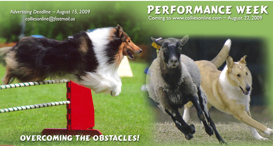 Performance Week -- Coming to Collies Online August 22, 2009