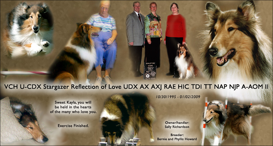 Sally Richardson -- In memory of VCH U-CDX Stargazer Reflection of Love UDX AX AXJ RAE HIC TDI TT NAP