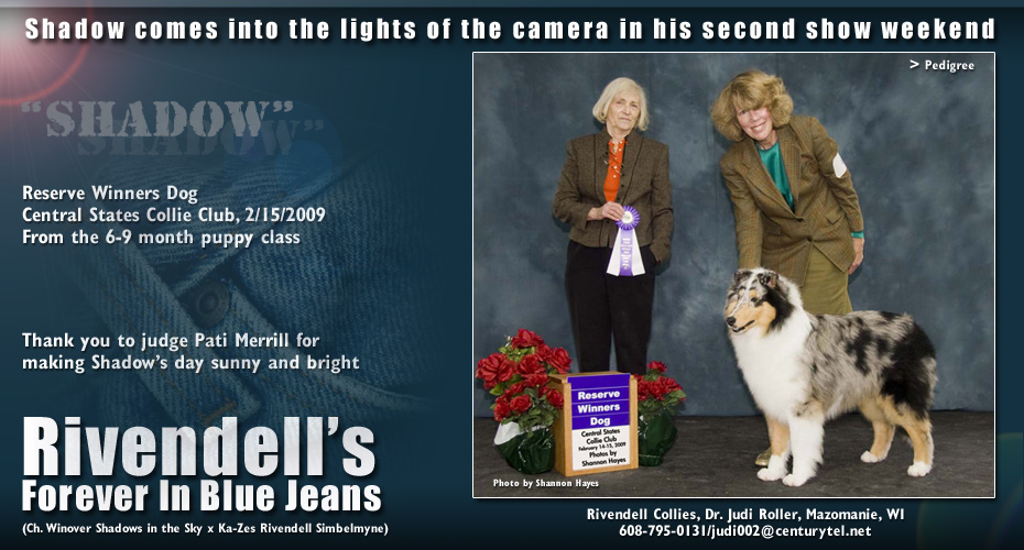 Rivendell Collies -- Rivendell's Forever In Blue Jeans