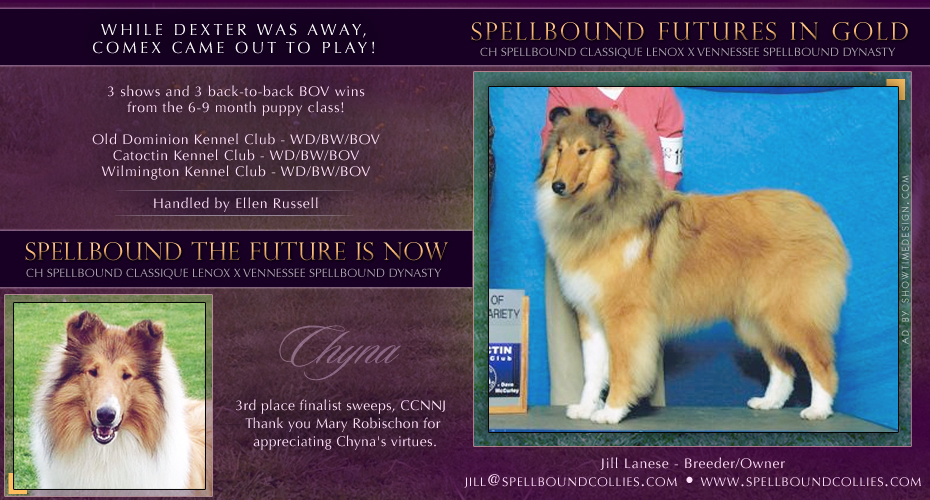 Spellbound Collies -- Spellbound Futures In Gold and Spellbound The Future Is Now