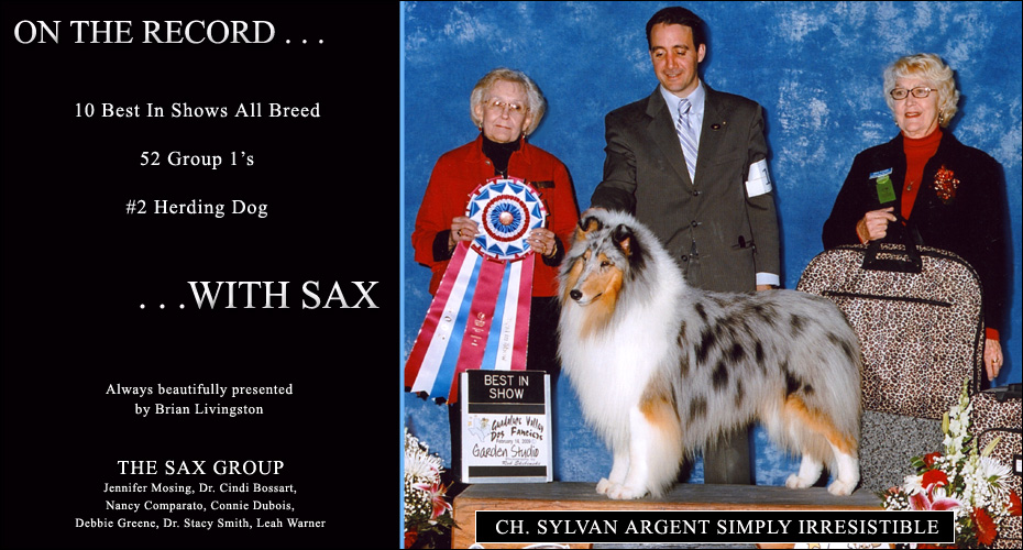 Sax Group -- CH Sylvan Argent Simply Irresistible