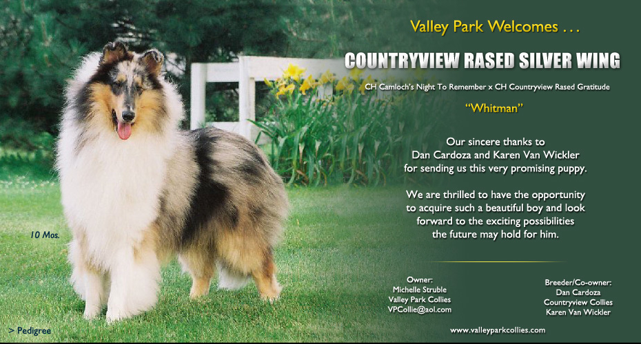 Valley Park -- Countryview Rased Silver Wing