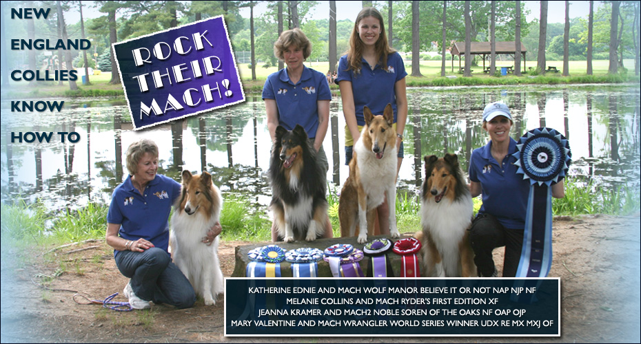 New England Collies Know How To Rock Their Mach!