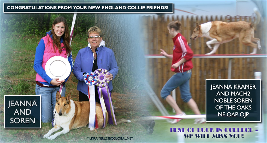 New England Collies Friends congratulates Jeanna Kramer and MACH2 Noble Soren Of The Oaks NF OAP OJP