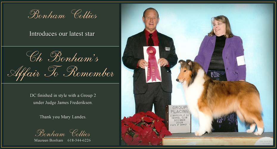 Bonham Collies -- CH Bonham's Affair To Remember