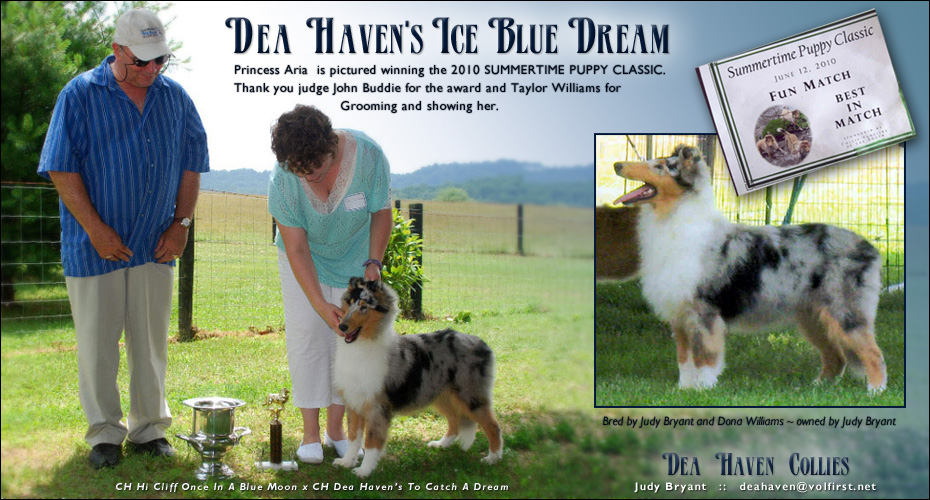 Dea Haven Collies -- Dea Haven's Ice Blue Dream