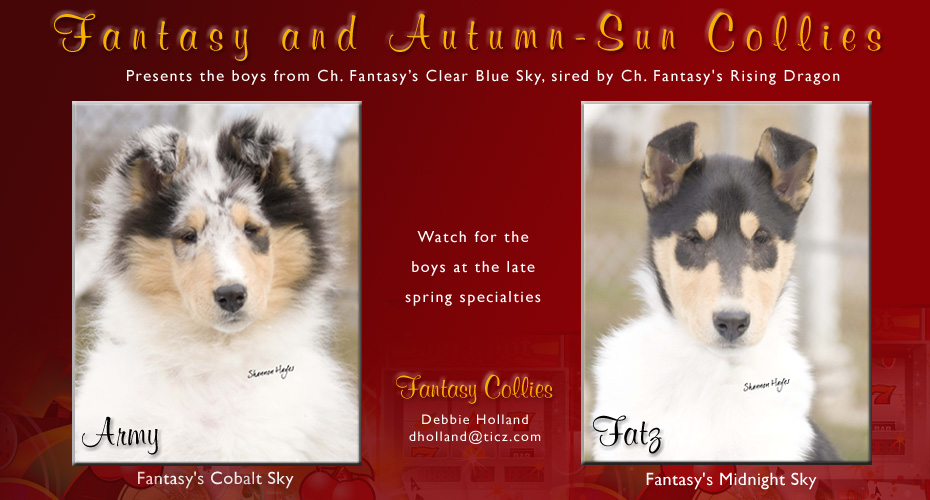 Fantasy Collies / Autumn-Sun Collies -- Fantasy's Cobalt Sky and Fantasy's Midnight Sky