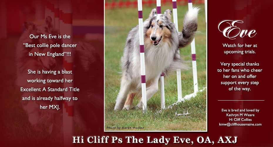 Hi Cliff Collies -- Hi Cliff Ps The Lady Eve, OA, AXJ