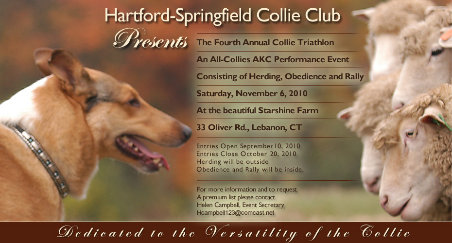 Hartford Springfield Collie Club -- The Fourth Annual Collie Triathlon AKC Performance Event -- Nov. 6, 2010