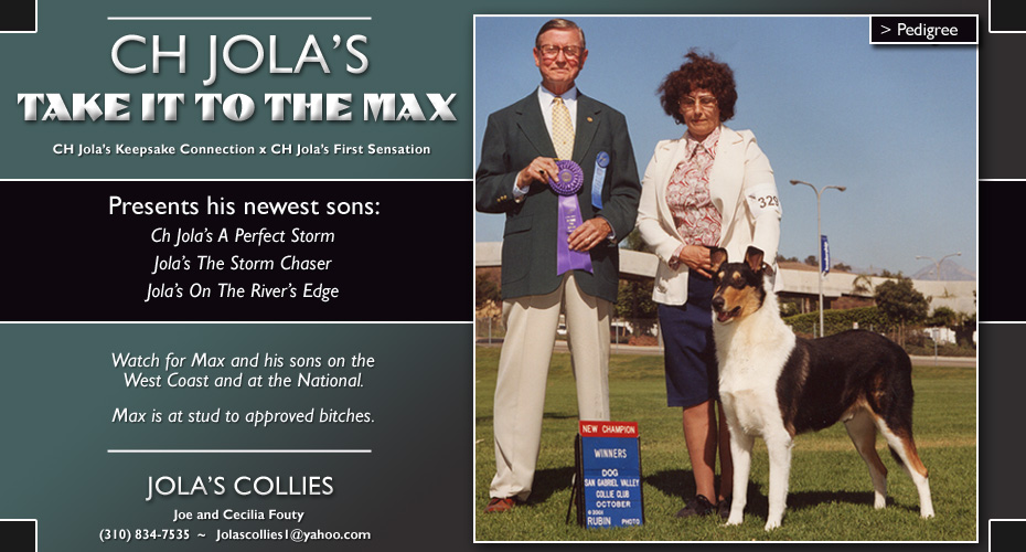 Jola's Collies -- CH Jola's Take It To The Max